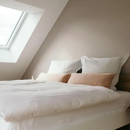 公寓 Moselhaus By Cluesserath-wittmann