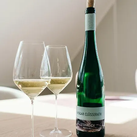 Apartment Moselhaus By Cluesserath-wittmann