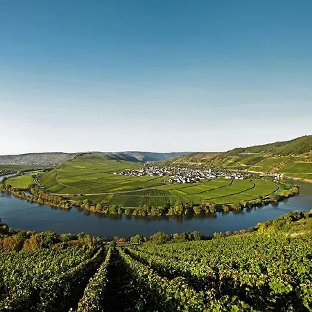 Moselhaus By Cluesserath-wittmann