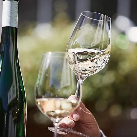 Moselhaus By Cluesserath-wittmann 特里特海姆