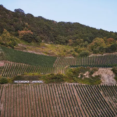 Moselhaus By Cluesserath-wittmann *