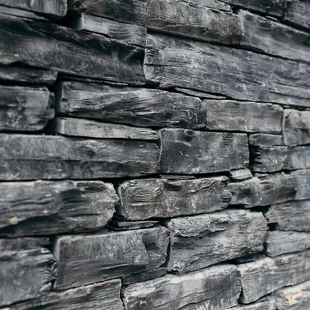 Moselhaus By Cluesserath-wittmann 公寓 特里特海姆