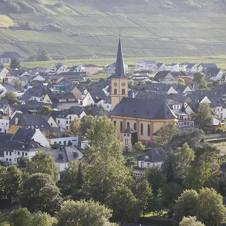 Moselhaus By Cluesserath-wittmann * Trittenheim