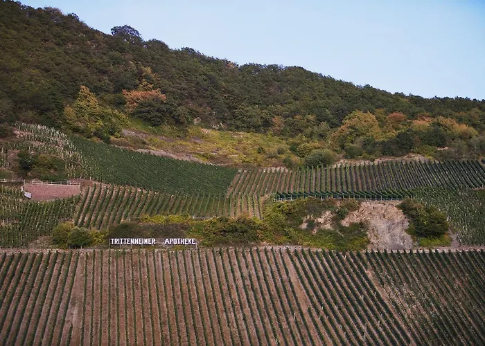 Moselhaus By Cluesserath-wittmann *