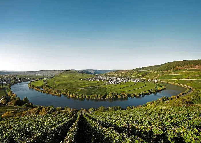 Moselhaus By Cluesserath-wittmann