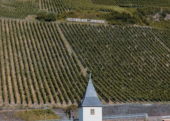 Moselhaus By Cluesserath-wittmann * Trittenheim